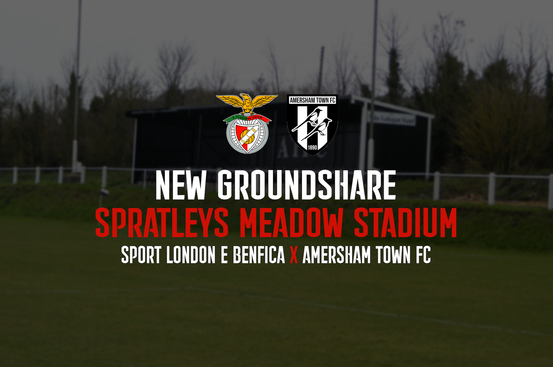 Spratleys Meadow Bound: SL Benfica Next Chapter